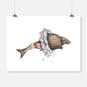 Armadillo Fish