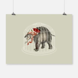 Caged Elephant