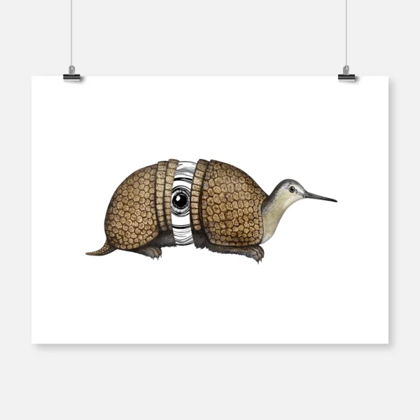 Armadillo Bird