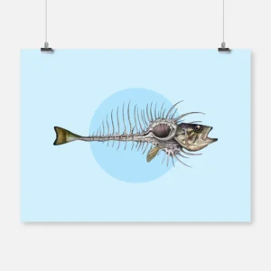 Shell Fish