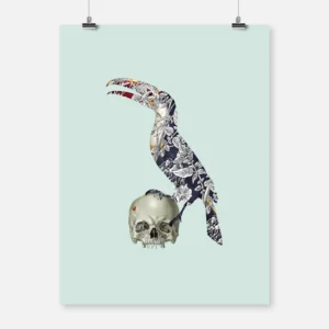 Toucan with Skull