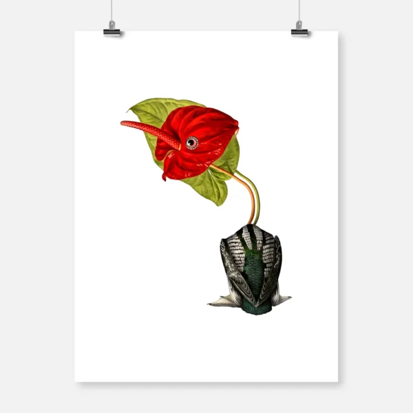 Anthurium Flower Bird