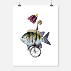 Fish Unicycle