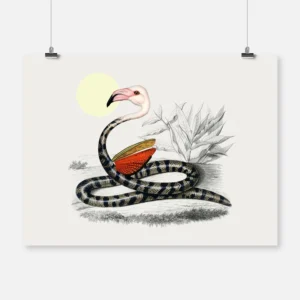 Flamingo Snake