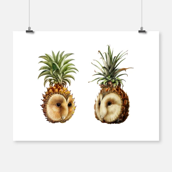 Pineapple Owls