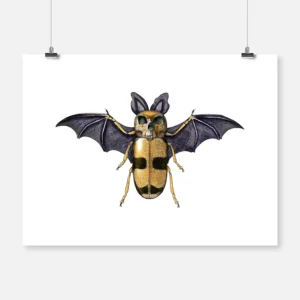 Bat Beetle Morphosis 2