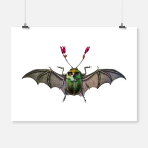 Bat Beetle Morphosis 1