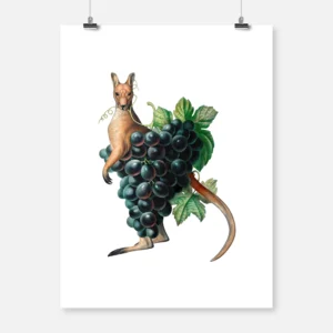 Kangaroo Grapes