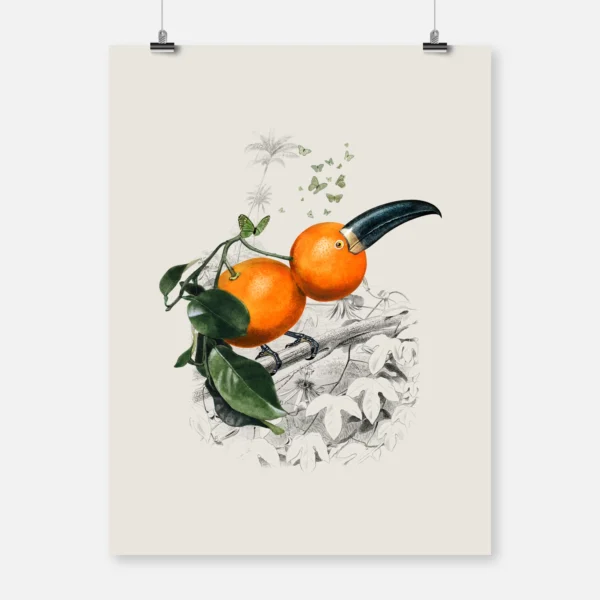 Orange Toucan