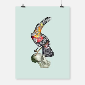 Toucan with Skull 2