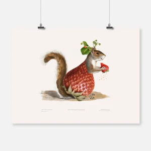 Strawberry Squirrel