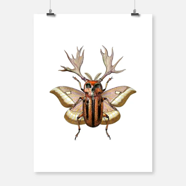 Beetle Moth Transformation 2