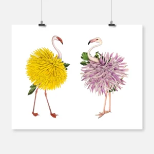 Chrysanthemum Flamingos