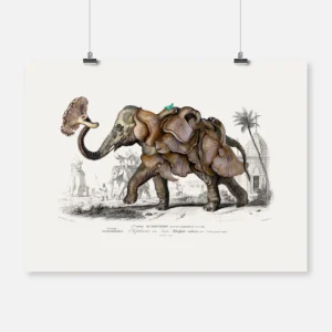 Mushroom Elephant