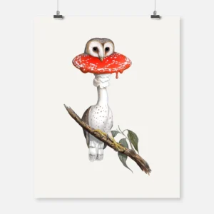 Owl Fly Agaric