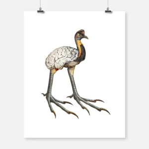 Brainy Bird