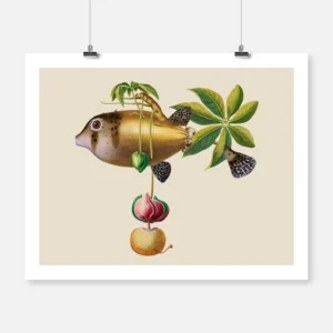 Fish Baobab