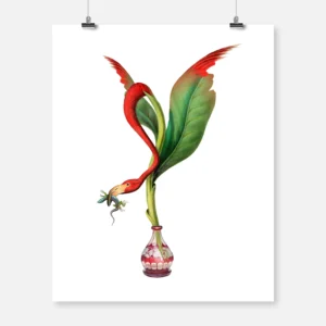 Flamingo Plant