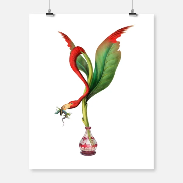 Flamingo Plant