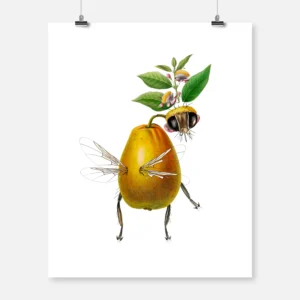 Pear Fly