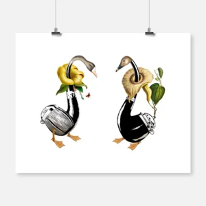 Pipe Geese