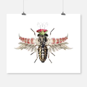 Queen Horse Fly