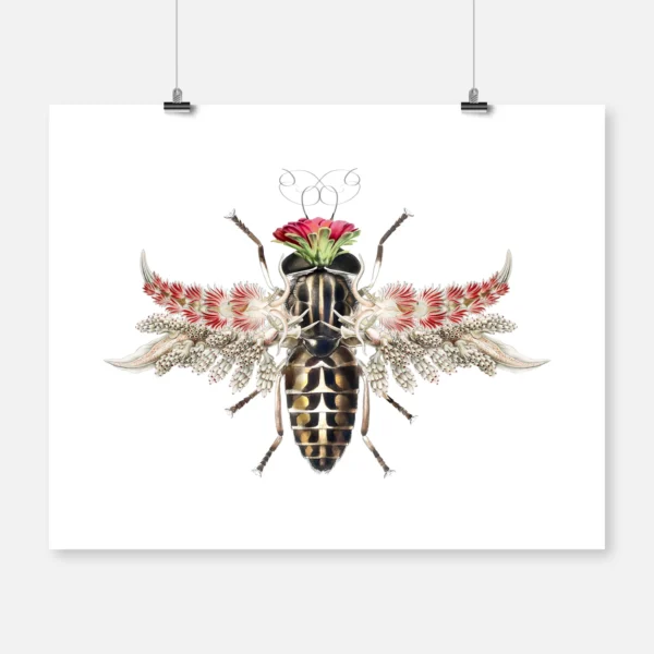 Queen Horse Fly
